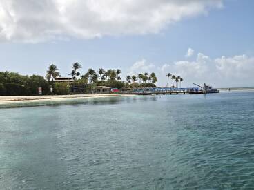 A picturesque view of a serene coastline with a pier and palm trees, perfect for beach outings and water activities.