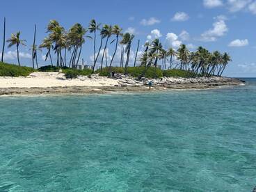 A picturesque view of a secluded beach with palm trees and people exploring the shoreline, showcasing the beauty of tropical destinations.