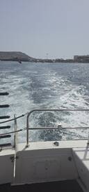 A view from the deck of a boat as it moves through the water, showcasing the wake and surrounding harbor scenery.