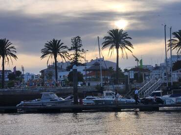 A picturesque sunset view at the harbor, featuring boats and palm trees, with people enjoying the waterfront atmosphere.