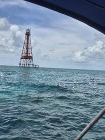 A snorkeler explores the vibrant waters near a historic lighthouse, showcasing the beauty of marine adventures.