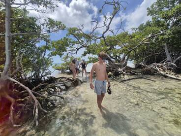 A group explores a mangrove area, enjoying a day of snorkeling and adventure in the shallow waters — a perfect setting for nature lovers.