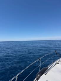 One day charter