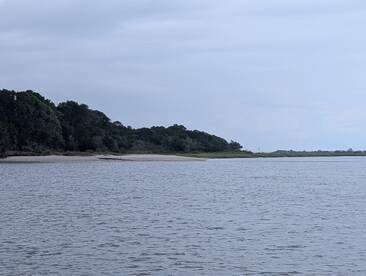 A scenic view of a shoreline with trees and water, but the image lacks clarity and detail.