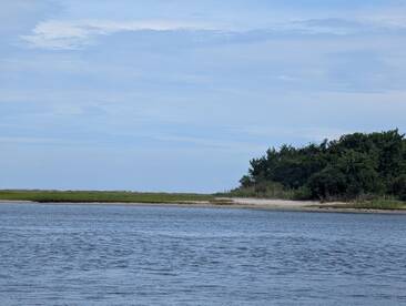 A serene view of a coastal landscape with water and greenery, but the image lacks clarity and detail.