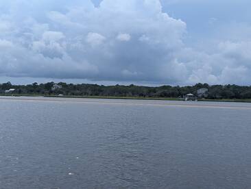 A distant view of a shoreline with houses and trees under a cloudy sky, lacking clarity and detail.