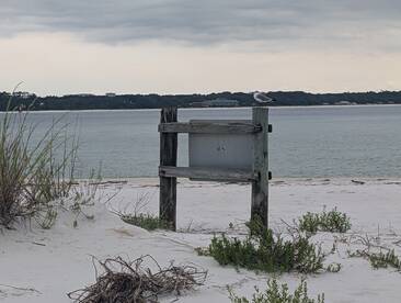 A coastal scene featuring a wooden signpost near the water, with seagulls perched on top. The image captures a serene beach atmosphere, but details are not clearly defined.