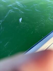 August boating trip