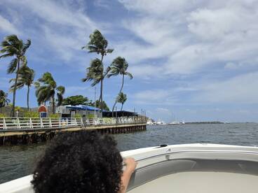A scenic view from a boat, showcasing palm trees and a waterfront area, with a child enjoying the ride — perfect for capturing the essence of a day on the water.