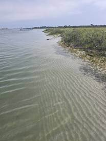 A serene view of a coastal landscape with gentle waves and lush greenery, perfect for showcasing the beauty of nature and tranquil boating experiences.