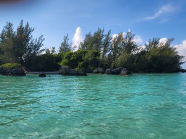 A stunning view of a lush coastline with turquoise waters, perfect for showcasing the natural beauty of island destinations.
