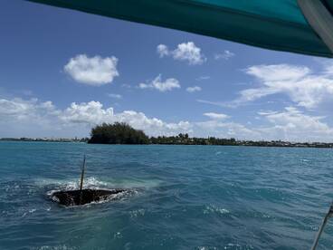 An unclear view of a submerged object in turquoise waters, with an island visible in the background. The image lacks focus and clarity.