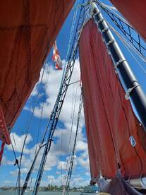 A stunning view of the sails and rigging of a sailboat against a bright blue sky, showcasing the beauty of sailing on open waters.