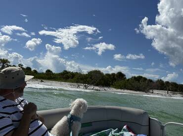 A man relaxes on a pontoon boat with his dog, enjoying the scenic view of a beach and lush greenery under a bright blue sky — a perfect day on the water.