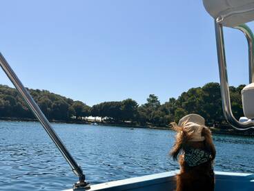 A dog enjoys a scenic view from the boat, showcasing the tranquil waters and lush greenery — perfect for pet-friendly boating adventures.
