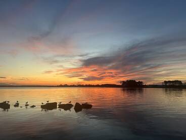 Best Sunset Cruise!  Great Orange Crushes, Beautiful pictures.