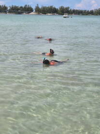 A group of snorkelers enjoys a refreshing swim in clear waters, perfect for exploring underwater life during a fun-filled day on the water.