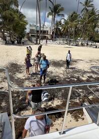 A lively group arrives at the beach after disembarking from their boat, surrounded by palm trees and sandy shores — perfect for a day of fun in the sun.