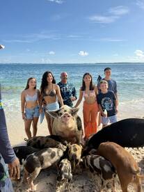 A group of people interacts with friendly pigs on a beach, creating a memorable wildlife experience in the Bahamas.