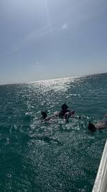 A group enjoys a fun day in the ocean, floating on inflatable rings under the sun — a perfect summer activity for families and friends.