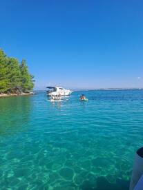 A group enjoys paddleboarding in crystal-clear waters with a boat anchored nearby, perfect for a fun day on the water.