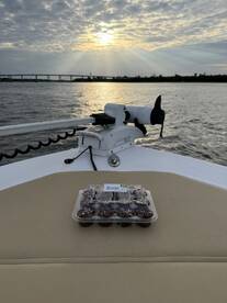 A delightful display of chocolate cupcakes on the deck of a boat, perfect for sweet treats during a sunset cruise. Ideal for celebrations or casual outings on the water.