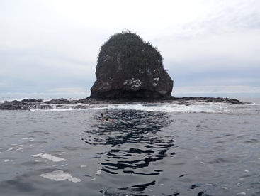 Snorkelers explore the waters near a striking rock formation, showcasing the beauty of marine adventures and scenic ocean views.