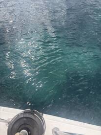 An unclear image showing water with some reflections, lacking a clear subject or focus.