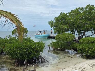 A scenic view of a boat near a dock surrounded by lush mangroves, with a person walking along the shore — a perfect setting for a day of adventure on the water.