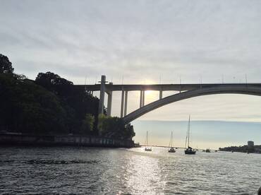A picturesque view of a bridge at sunset, with several sailboats navigating the water, creating a serene atmosphere perfect for evening cruises.