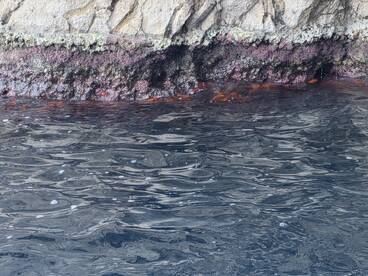 An unclear view of a rocky shoreline with water, lacking identifiable features or subjects.