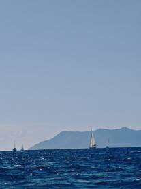 A serene view of multiple sailboats navigating the open waters, framed by distant mountains — a perfect scene for sailing enthusiasts.