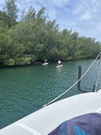 A group enjoys paddleboarding in a serene waterway, surrounded by lush greenery — a perfect setting for outdoor adventures.