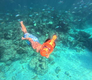 A snorkeler explores vibrant coral reefs teeming with colorful fish, showcasing the beauty of underwater adventures.