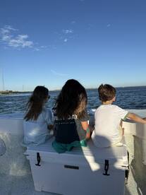 Great, easy evening cruise and dolphin watch