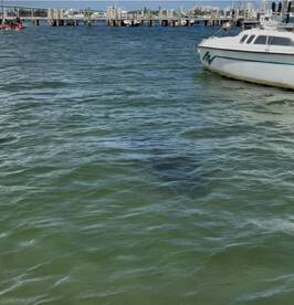 An unclear image showing water and a boat, with no identifiable subjects or activities.