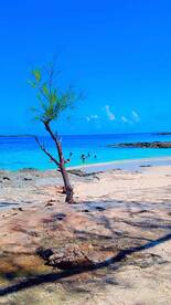 A vibrant beach scene featuring a group enjoying the clear turquoise waters, perfect for a fun day under the sun.