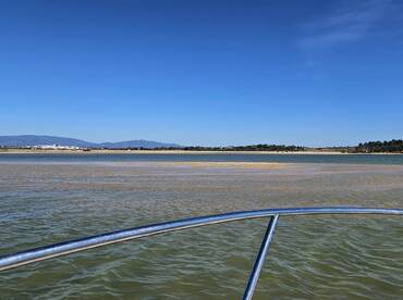 Sortie en mer de rêve 