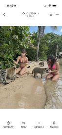 Two women interact with raccoons on a sandy beach, showcasing a unique wildlife experience in a tropical setting.