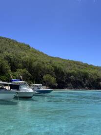 A picturesque view of several speedboats anchored in crystal-clear waters, surrounded by lush greenery — perfect for a day of exploration and relaxation on the water.