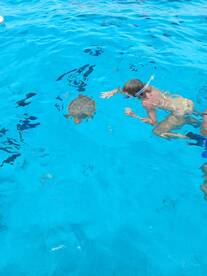 A child interacts with a sea turtle while snorkeling in crystal-clear waters, showcasing a memorable wildlife experience in a tropical paradise.