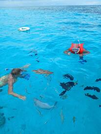 Two snorkelers explore vibrant underwater life in crystal-clear waters, showcasing a thrilling ocean adventure filled with colorful fish.