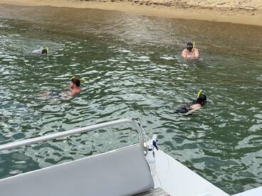 A group enjoys snorkeling in clear waters near a sandy beach, showcasing a fun and adventurous day on the water.