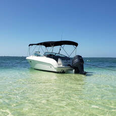Black Pearl Private Charters
