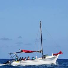 Happiness Mauritius