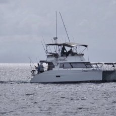 Horizon Fishing Expeditions