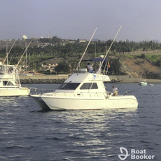 Fish On Gran Canaria