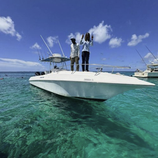 Ellygant Tours and Charters