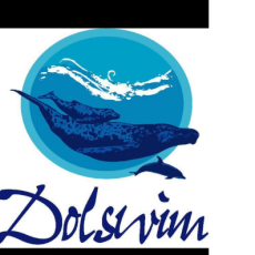 Dolswim Ltd