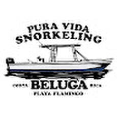 Pura Vida Snorkeling